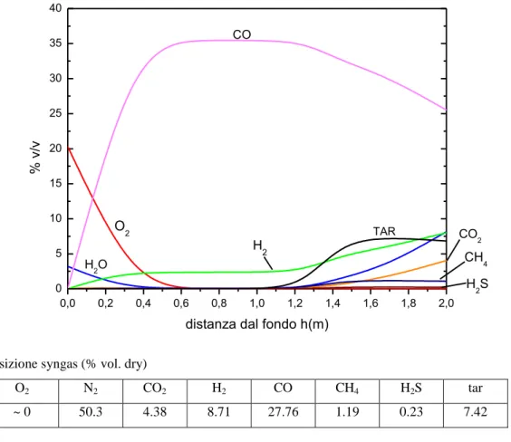 Figura 7.3 Profilo  delle concentrazioni dei componenti del syngas lungo il letto in assenza   di vapore