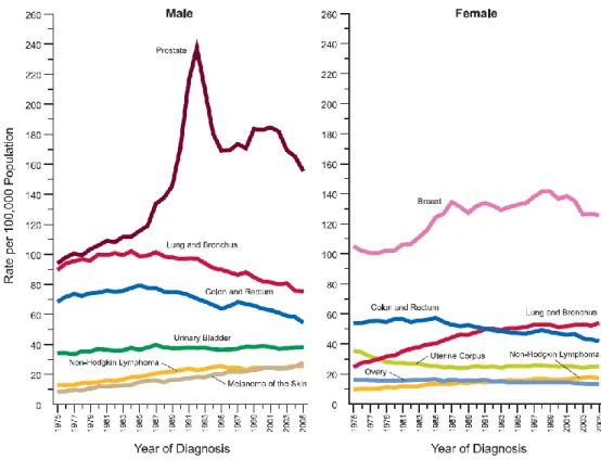 Figura  1.1d:  Tasso  annuale  di  mortalità  cancro-correlata  aggiustato  per  età  per  il  sesso  maschile dal 1930 al 2005 negli Stati Uniti
