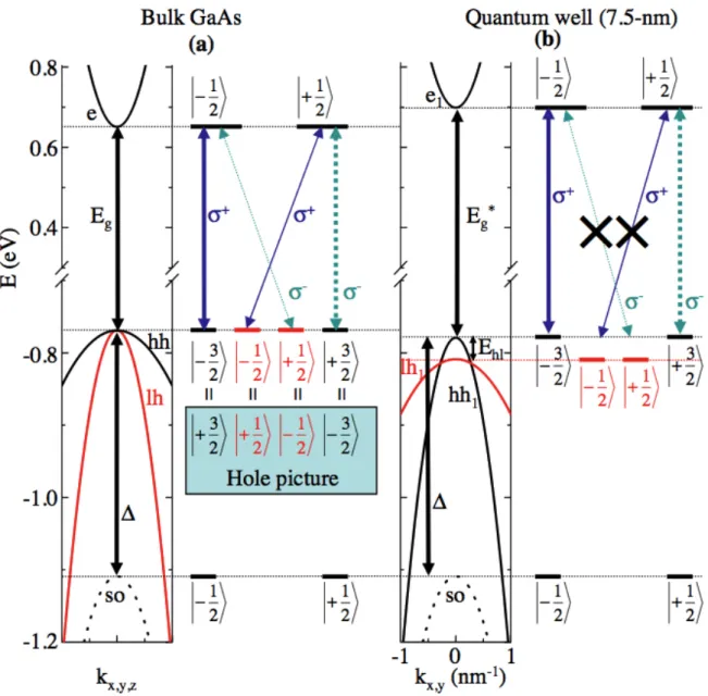 Figure 1.3: a) Optical absorption or emission transitions for σ ± photons of energy in resonance with the gap E g of bulk GaAs crystals
