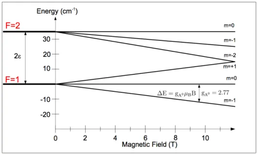 Figure 1.5: Energy levels of the neutral Mn acceptor A 0 Mn . When a magnetic field is applied, the degeneracy is removed and the Zeeman splitting is determined by a g-factor g A 0 = 2.77
