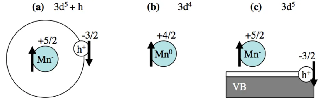 Figure 1.6: a) Neutral Mn acceptor in GaAs. b) Common configuration in GaP. c) Ionized Mn acceptor in GaAs