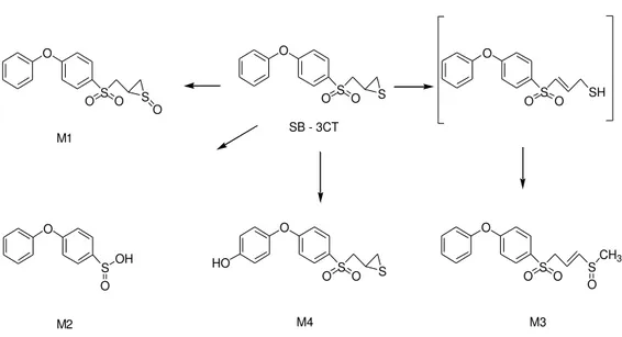 Fig. 2.3: Prodotti del metabolismo di SB-3CT 