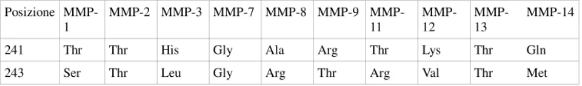 Tab. 2.5:  Variabilità nella composizione amminoacidica a livello di due posizioni del loop S1' nelle varie  MMPs  14  HNNHOHNHNHOOO
