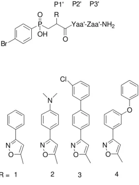 Fig. 2.8:  Libreria di peptidi fosfinici con la formula generale p-Br-Ph-(PO2-CH2)-Xaa’-Yaa’-Zaa’-NH 2 