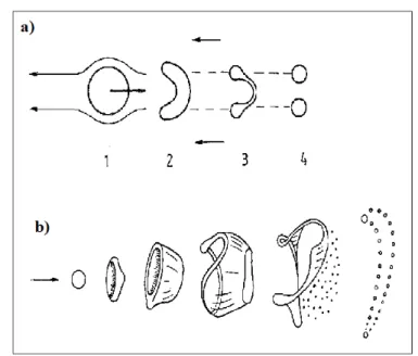 Figure 4.9: a) Simple drop division; 1-4, consecutive stages of disintegration; b) Parachute-type drop  disintegration