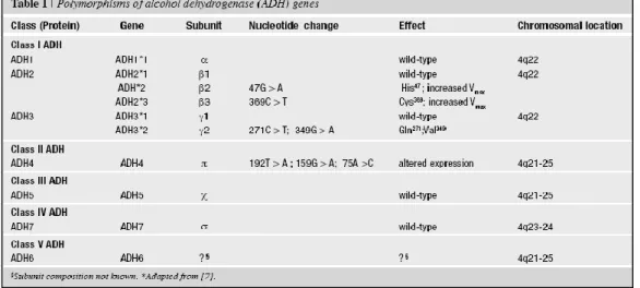 Tabella 1   I Polimorfismi del gene alcool deidrogenasi (ADH)