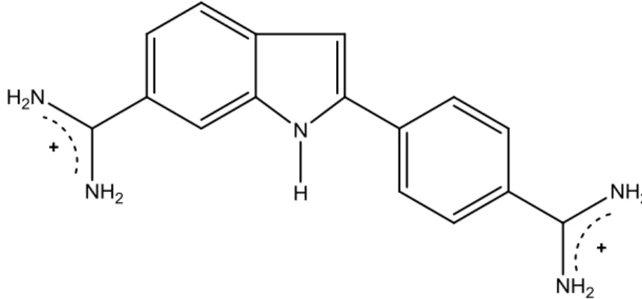 Figura 1.1 Formula di struttura del 4’,6-diamidino-2-fenilindolo (DAPI). 