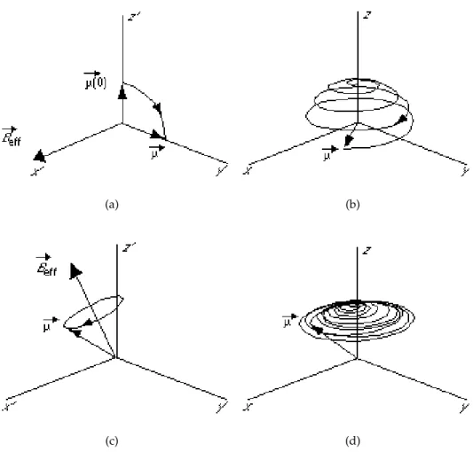 Figura 1.2. Effetto di un impulso a radiofrequenza nel SR del laboratorio (b, d) e in quello rotante (a, c), alla frequenza di Larmor (a,b) e fuori frequenza (c, d).