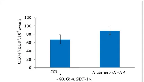 Figura 32.  Distrubuzione genotipica di -801G &gt; A di SDF-1α e livelli circolanti di EPCs