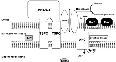 Figure 6. Schematic structure of the MPTP.  13 