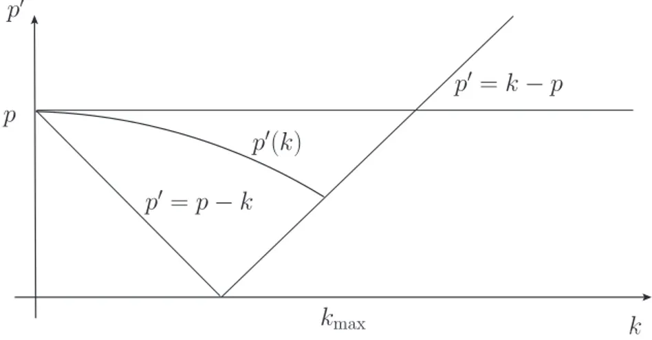 Figure 4.2: Allowed region for the solution p ′ (k) of the general energy-momentum conservation equation.