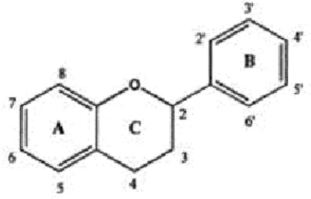 Fig 2  :  Struttura base di un flavonoide