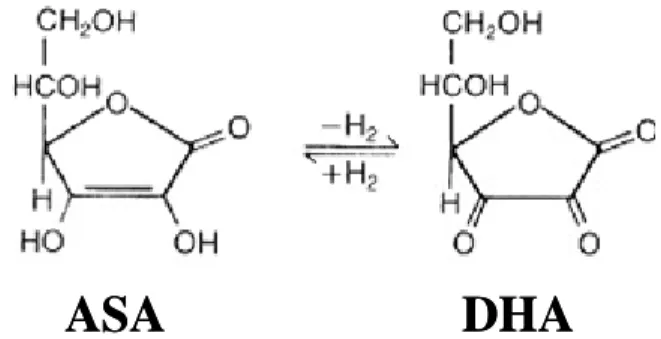Fig. 5 : Forma ridotta (ASA) e ossidata (DHA) dell’acido ascorbico 