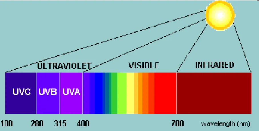 Fig. 6. Rappresentazione dello spettro solare 