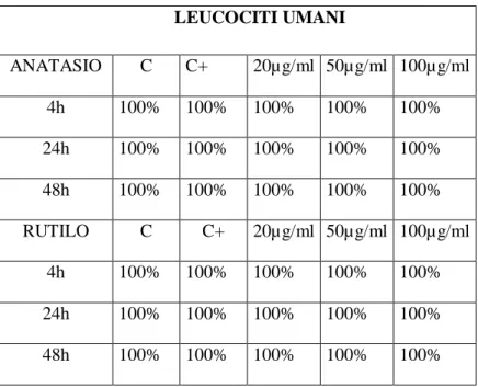 Tab. 2. Vitalità cellulare (%)  in leucociti umani per ogni dose e tempo di esposizione per ciascuna  forma di TiO 2 