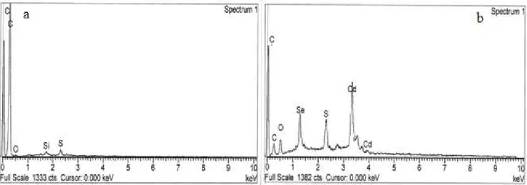 Figure 6.3 EDS spectrum of MWNT-g-PAN (a) and CdSe/ MWNT-g-PAN (b) 