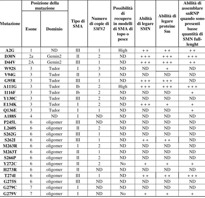 Tabella 2 Classificazione delle mutazioni di SMN che portano alla SMA 