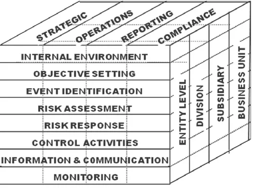 Figura 5 - Enterprise risk management 