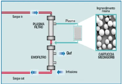 Figura 4 - Schema di funzionamento CPFA