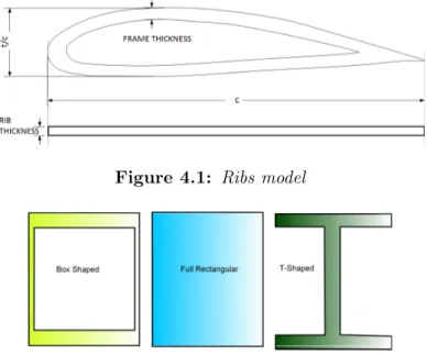 Figure 4.1: Ribs model