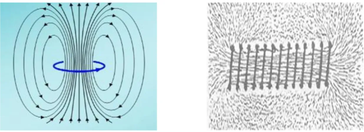 Figura 2. Linee di campo magnetico generato da una spira (sinistra) e da un solenoide (destra) 