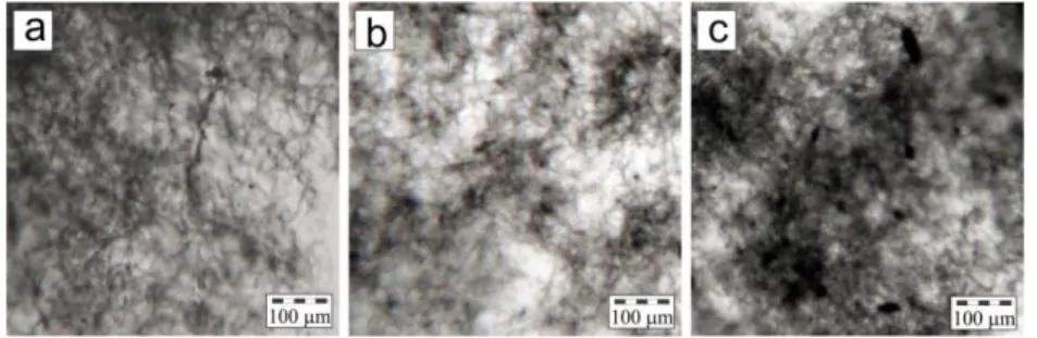 Figure 1.6: Result of microscope image for composite with 0.5 wt.% CNT in the  different polymer matrix: (a) PLLA, (b) PCL and (c) PLGA 