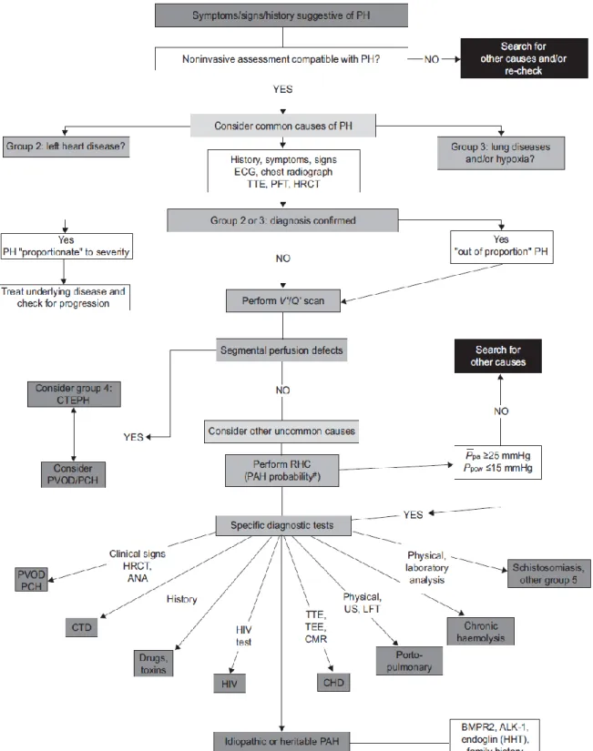 Figura  1.  Algoritmo  diagnostico  linee  guida  ESC/ERS  2009.  ALK-1  =  activin-receptor-like  kinase;  ANA  =  anticorpi  anti-nucleo;  BMPR2  = 