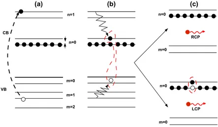 Figure 2.2: Schematic description of a PL process at ν = 1: (a) Absorption of incident photons and generation of an electron-hole pair (b) Relaxation of the photogenerated particles