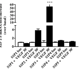 FIG.  9 Effect of VEGF on S1P receptors transcript abundance. EPC  were treated  with  VEGF (50 ng/ml) for the time  indicated