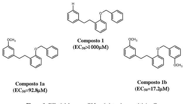Figura 1: Effetti del gruppo OMe sui sistemi aromatici A e C 