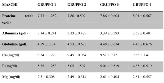Tabella num 5. Variazione del profilo biochimico in base all’età nei soggetti maschi (Ahmed et al.,  2007)