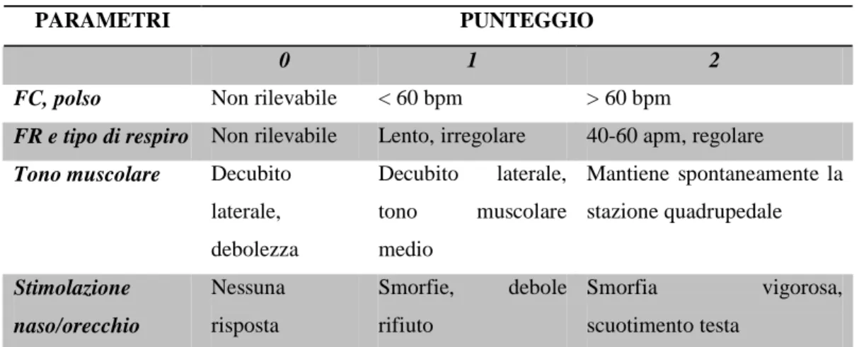 Tabella 8. Punteggio APGAR a 4 parametri (Martens, 1982; Vaala, 1994). 