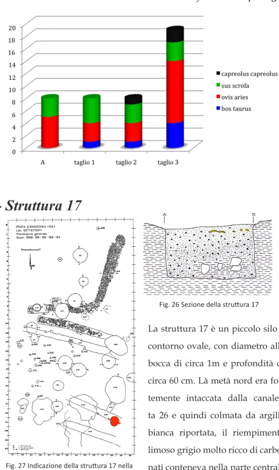 Fig. 26 Sezione della struttura 17