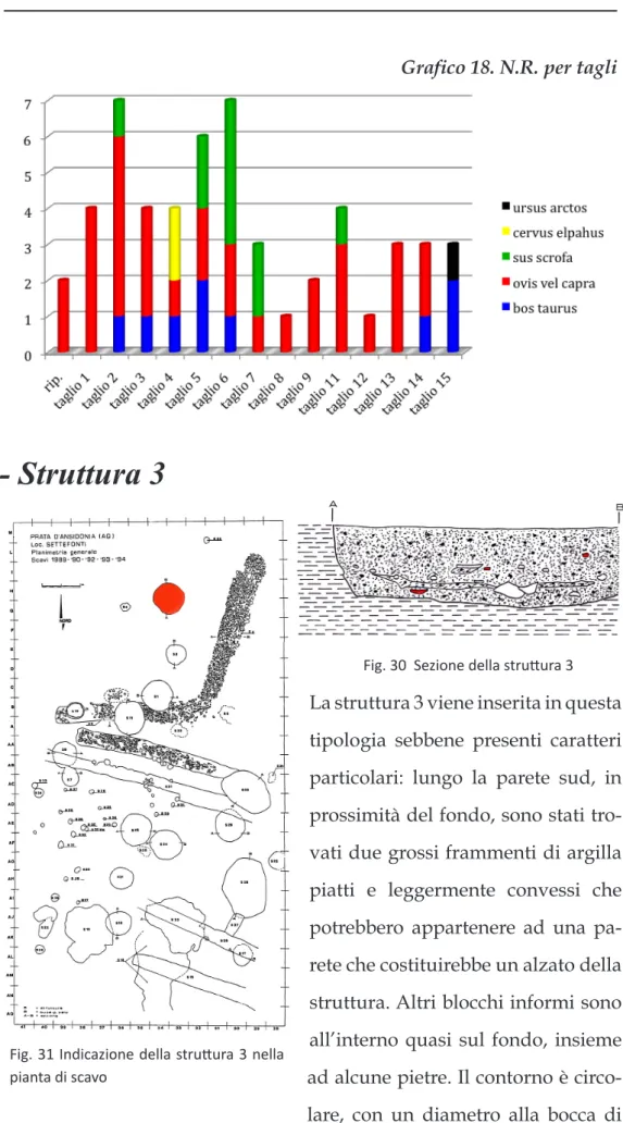 Fig. 30  Sezione della struttura 3