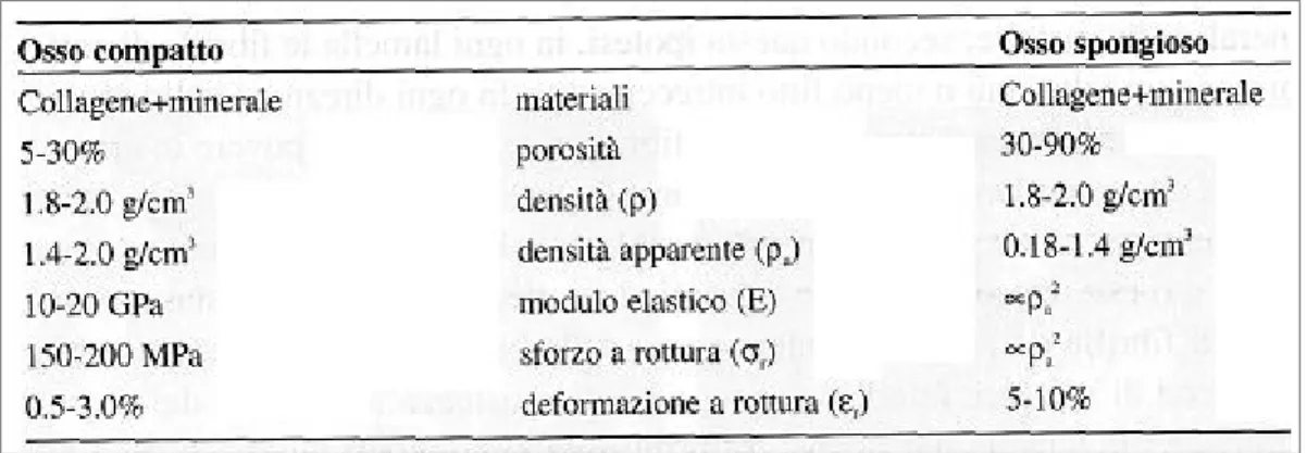 Tabella 1.1: Caratteristiche a confronto dell'osso corticale e dell'osso spugnoso 