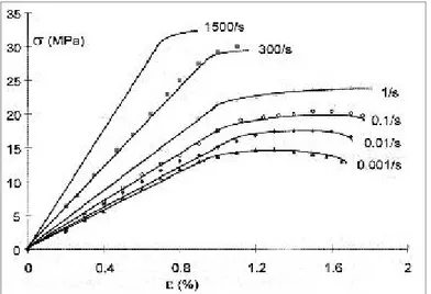 Figura 1.6: Dipendenza del comportamento meccanico dalla velocità di deformazione di osso   compatto umano; la velocità di deformazione è qui definita come rapporto tra allungamento   percentuale e tempo 