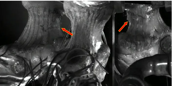 Figura 4.64: Immagine del femore raffigurante l’innesco della frattura estrapolata da una ripresa ad alta velocità durante la prova di  rottura