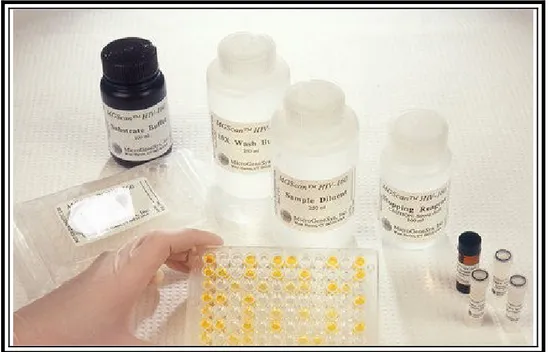 Fig 14. Kit ricerca anticorpi anti-gliadina  fornito da Eurospital