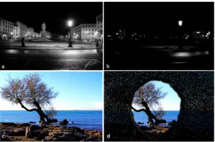 Fig. 3. Typical examples of night blindness (b) and tunnel vision (d). This is a typical  example of eye field degradation in RP patients