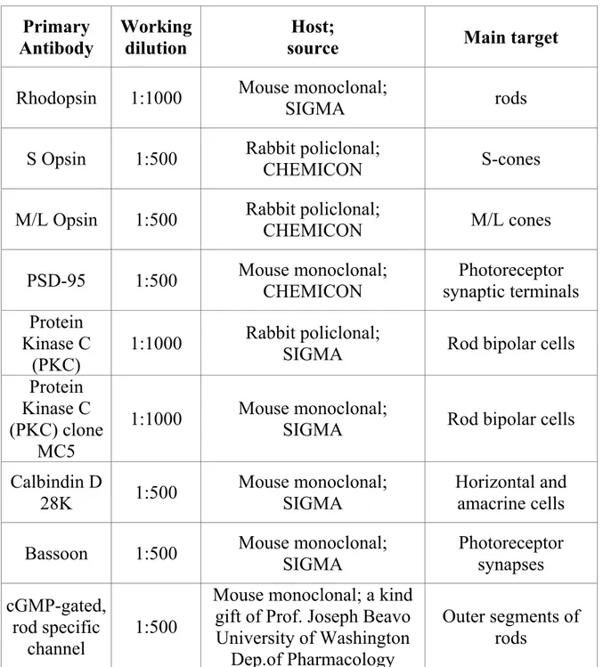 Table 1: Primary antibodies used in indirect fluorescence  immunocytochemistry  Primary  Antibody  Working dilution  Host;  