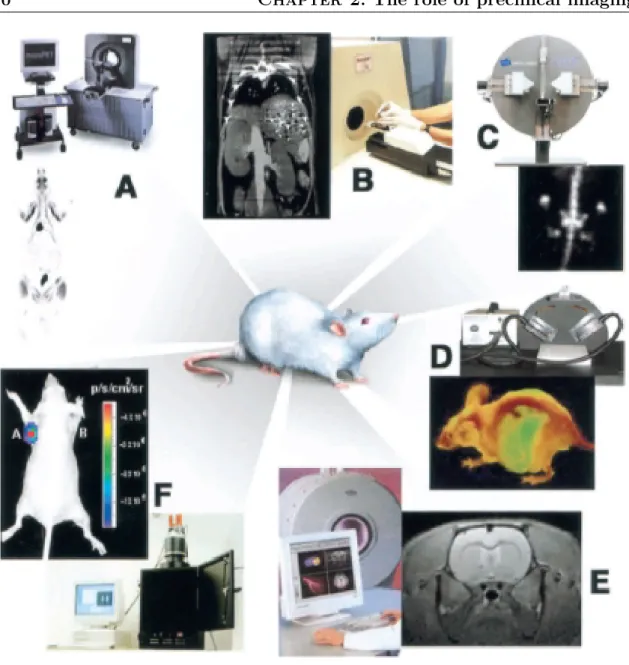 Figure 2.1: Illustrative examples of the variety of images that can be obtained with different imaging modalities