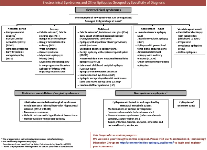 Fig. 10 Proposta ILAE per la classificazione delle crisi e delle sindromi epilettiche  31