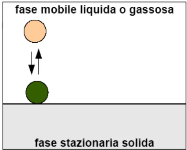 Figura 6.12 : Rappresentazione del meccanismo di adsorbimento 