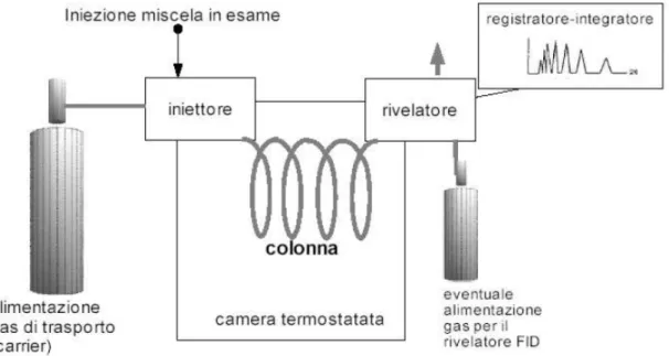 Figura 6.14 : Schema di un tipico gas-cromatografo