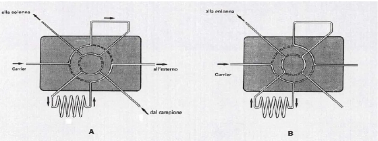 Figura 6.15: Rappresentazione del sistema di valvole per l’introduzione del gas