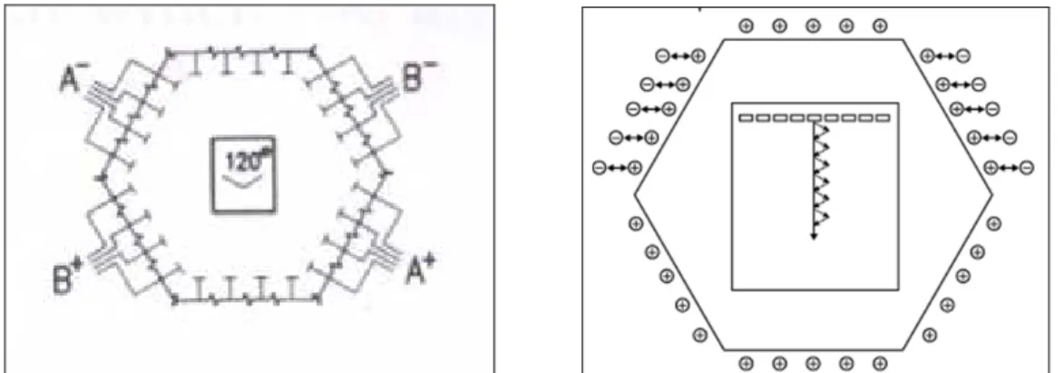 Figura 7: Rappresentazione schematica di sistema CHEF per elettroforesi pulsata (Birren e Lai, 1993).