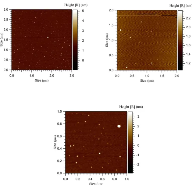 Figura 8  Immagini AFM del campione 11, in alto a destra, si nota la dispersione delle particelle  prodotte, mentre nelle altre due immagini ad ingrandimento superiore si possono stimare le 