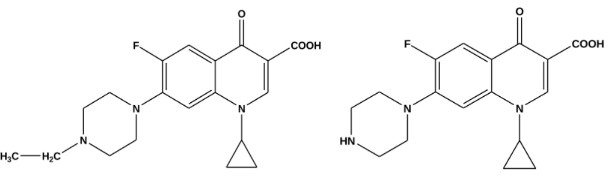 Figura 4 Struttura enrofloxacina (a sinistra) e ciprofloxacina (a destra) 
