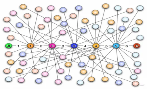 Fig. 3.2. fonte: www.ninjamarketing.it/2011/11/28/facebook-e-i-gradi-di-separazione-tra- www.ninjamarketing.it/2011/11/28/facebook-e-i-gradi-di-separazione-tra-gli-utenti 