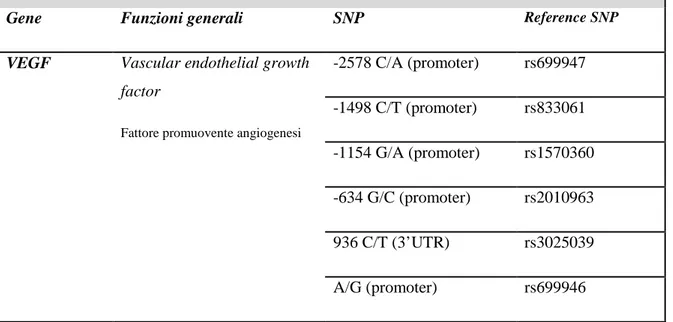 Tabella 1. Polimorfismi a singolo nucleotide (SNP) dei geni candidati per lo studio  